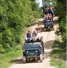Samui: Öğle Yemeği Dahil 7 Saatlik 4WD Vahşi Orman Safari Turu